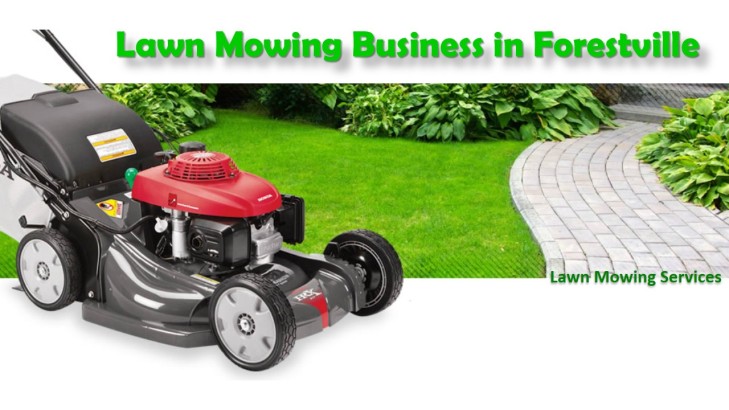 Things to Keep in Mind Before Starting a Lawn Mowing Business in Forestviile1
